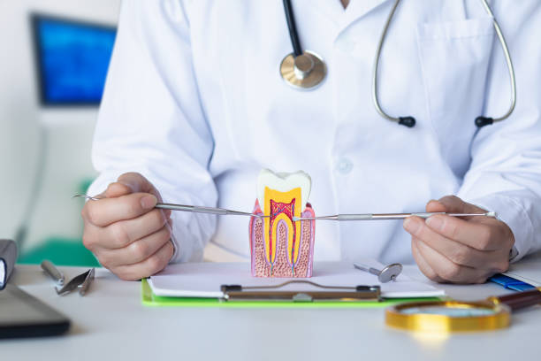 Best Emergency Dental Care for Broken or Chipped Teeth in Barnwell, SC